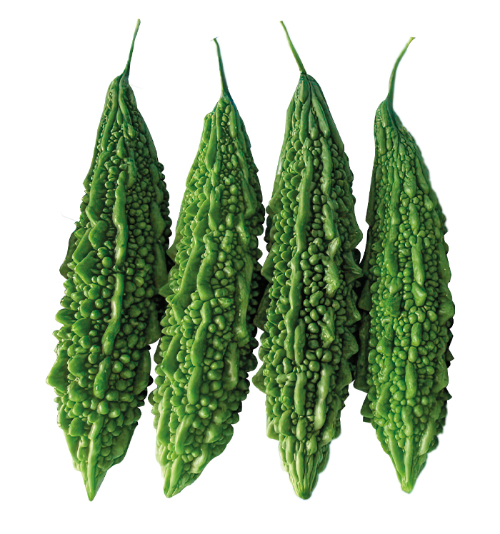 Fresh Bitter Gourd (Karela) – Grade Fresh & Farm Picked