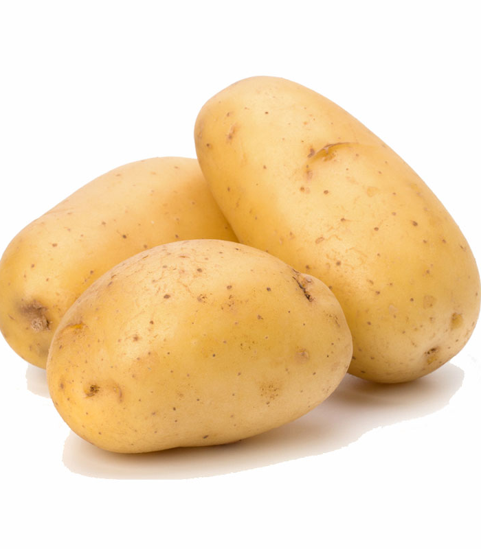Fresh Potato (Premium Quality) – Farm Fresh
