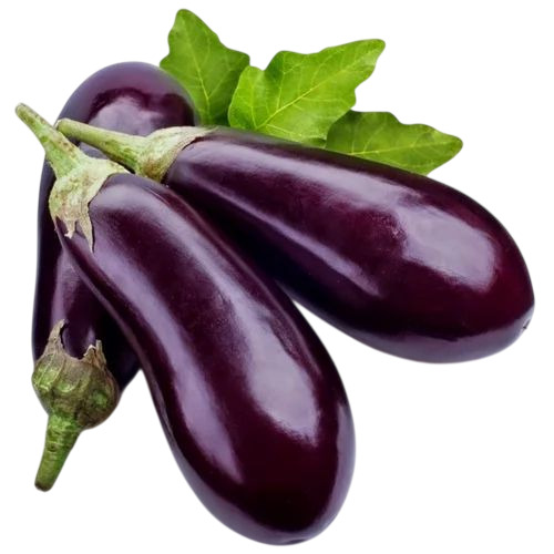 Fresh Brinjal (Eggplant) – Farm Fresh Premium Quality