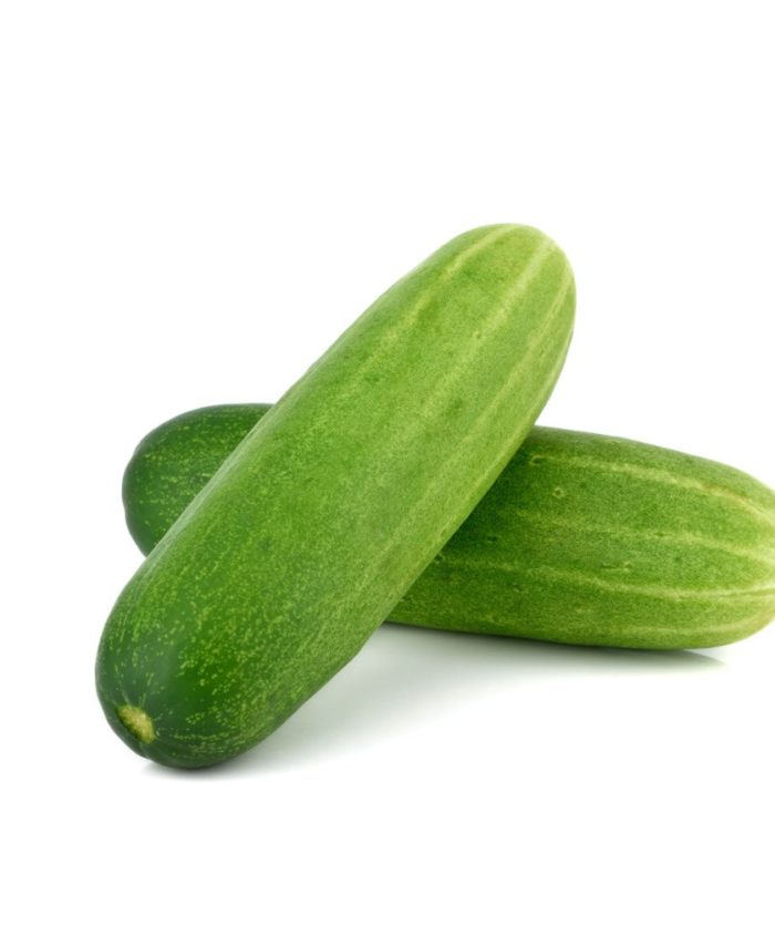 Fresh Cucumber – Grade Fresh & Juicy